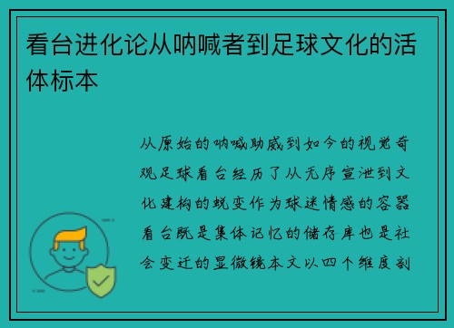 看台进化论从呐喊者到足球文化的活体标本